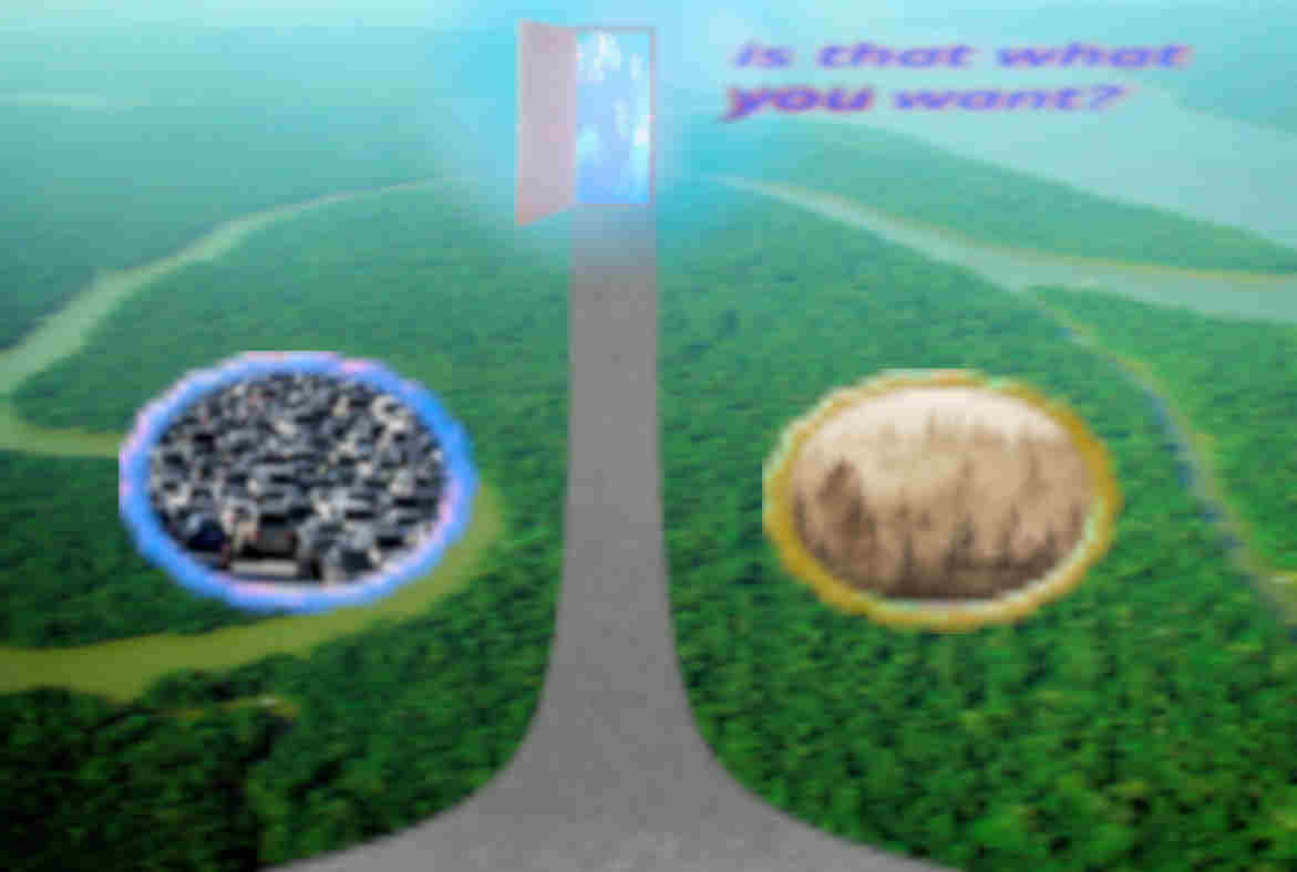 Is that what you want weirdcore