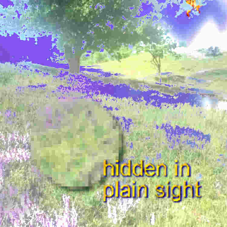 Plain sight weirdcore