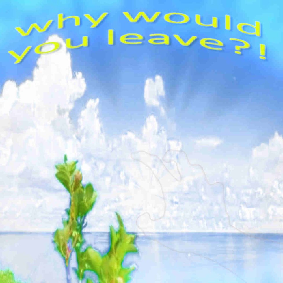 Why would you leave weirdcore